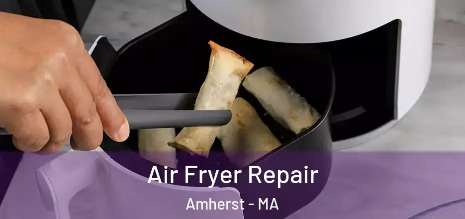 Air Fryer Repair Amherst - MA
