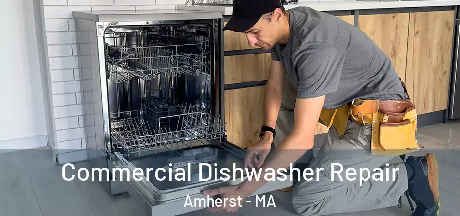  Commercial Dishwasher Repair Amherst - MA
