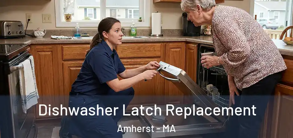  Dishwasher Latch Replacement Amherst - MA