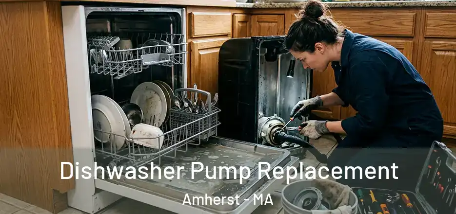 Dishwasher Pump Replacement Amherst - MA