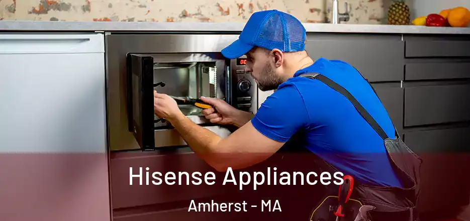  Hisense Appliances Amherst - MA