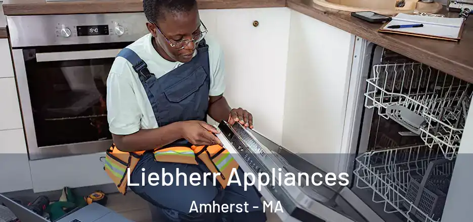  Liebherr Appliances Amherst - MA