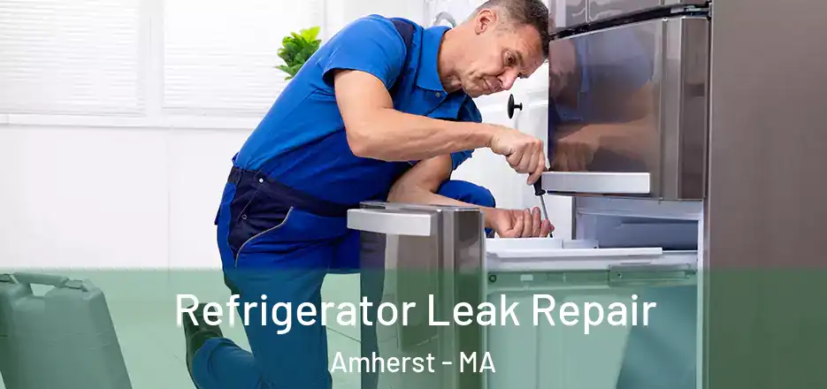 Refrigerator Leak Repair Amherst - MA