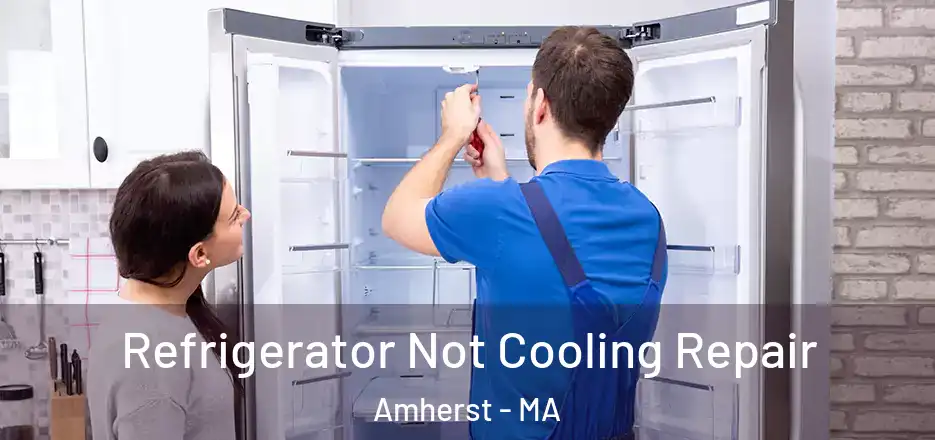 Refrigerator Not Cooling Repair Amherst - MA
