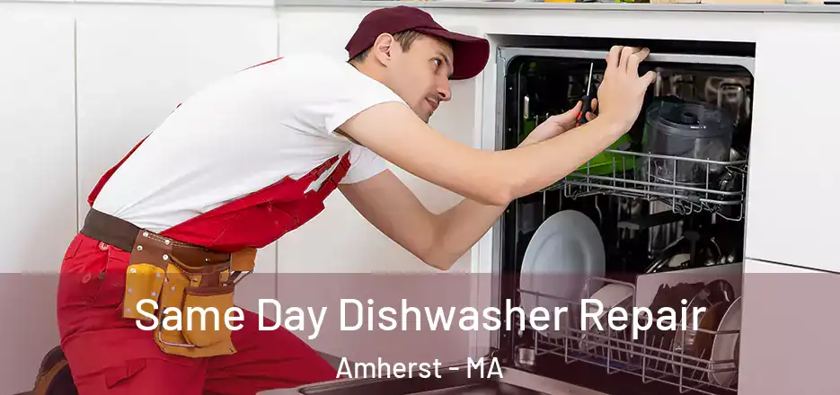  Same Day Dishwasher Repair Amherst - MA