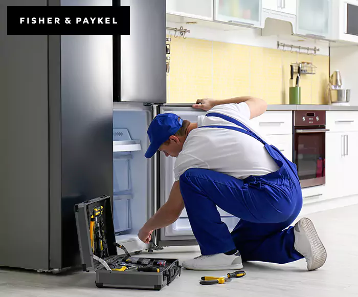 Top-Rated Fisher & Paykel Appliance Experts: Your Brand Specialist in Amherst, MA